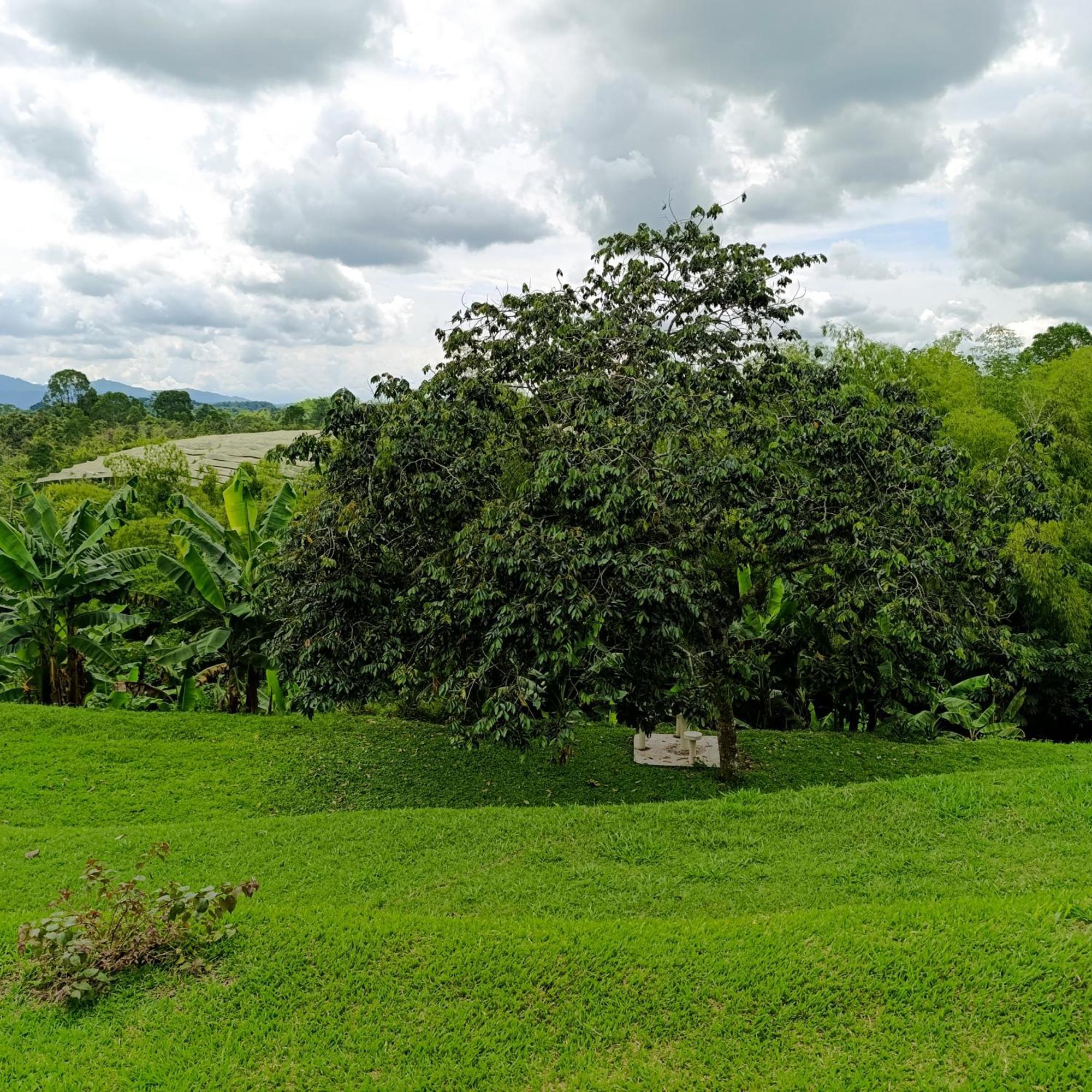 Hotel Campestre Los Mangos Quimbaya Eksteriør bilde