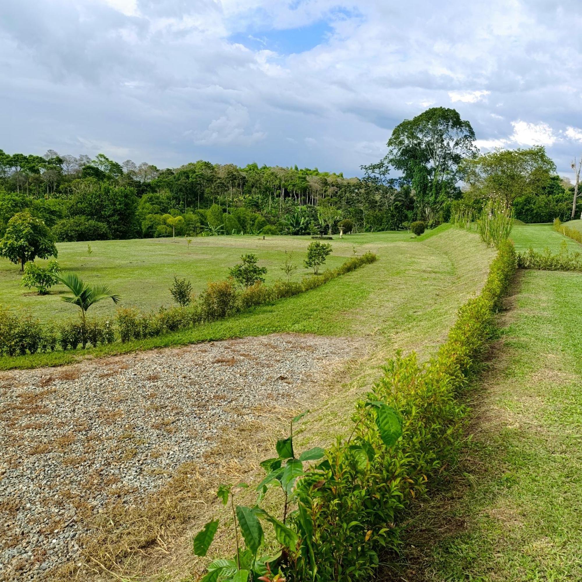 Hotel Campestre Los Mangos Quimbaya Eksteriør bilde